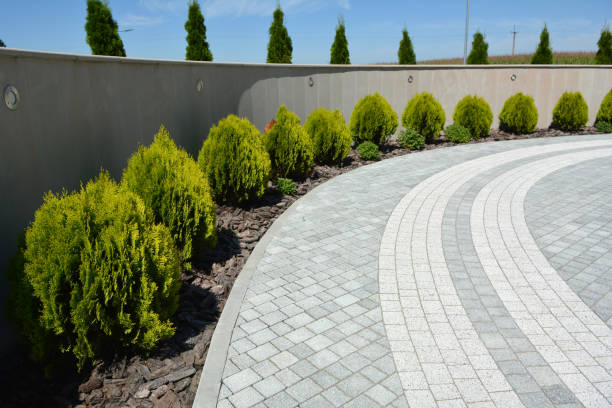 Best Driveway Pavers Near Me  in Burley, WA